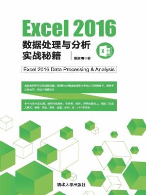 Excel 2016 數據處理與分析實戰秘籍 從理論到實踐的高效指南