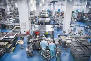 百名社長總編走進無限極新會生產基地受羊城晚報等全國主流媒體關注